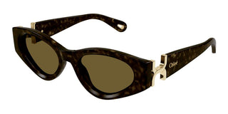 Chloé CH0259S women Havana Cat Eye Sunglasses