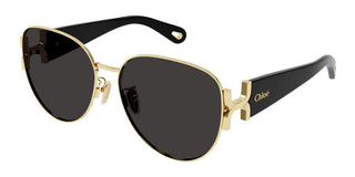 Chloé CH0261S women Black Cat Eye Sunglasses