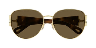 Chloé CH0261S women Havana Cat Eye Sunglasses