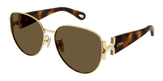 Chloé CH0261S women Havana Cat Eye Sunglasses