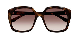 Chloé CH0280S women Havana Oversize Sunglasses