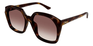 Chloé CH0280S women Havana Oversize Sunglasses