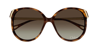 Chloé CH0285S women Havana Squared Sunglasses