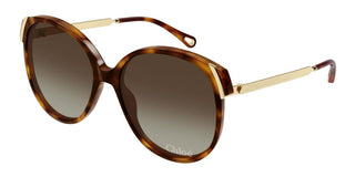 Chloé CH0285S women Havana Squared Sunglasses