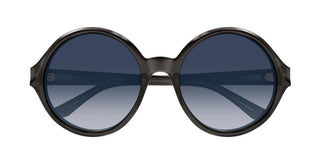 Chloé CH0290S women Grey Round Sunglasses