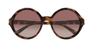 Chloé CH0290S women Havana Round Sunglasses