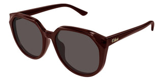 Chloé CH0291SK women Brown Squared Sunglasses