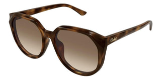 Chloé CH0291SK women Havana Squared Sunglasses