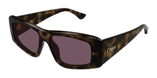 Chloé CH0299S women Havana Squared Sunglasses