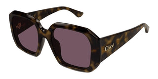 Chloé CH0300S women Havana Squared Sunglasses