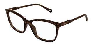 Chloé CH0318O women Havana Squared Eyeglasses