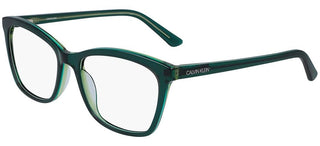 Calvin Klein CK19529 women Green Geometric Eyeglasses