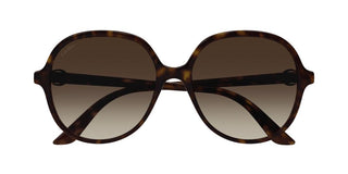 Cartier CT0350S women Havana Butterfly Sunglasses