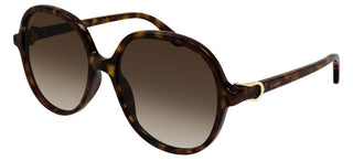 Cartier CT0350S women Havana Butterfly Sunglasses