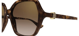 Cartier Signature C de Cartier CT0470S women Havana Oversize Sunglasses