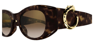 Cartier Panthère De Cartier Ct0472s Women Havana Cat Eye Sunglasses