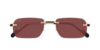 Cartier CT0498S men Gold Rectangle Sunglasses