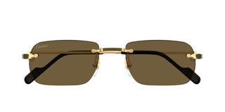 Cartier CT0498S men Gold Rectangle Sunglasses