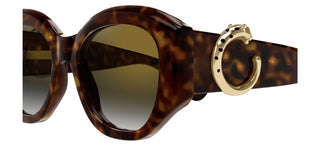 Cartier Panthère De Cartier Ct0502s Women Havana Butterfly Sunglasses