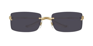 Cartier Panthère De Cartier Ct0503s Unisex Gold Rectangle Sunglasses