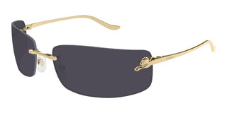 Cartier CT0503S unisex Gold Rectangle Sunglasses