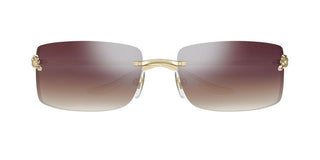 Cartier CT0503S unisex Gold Rectangle Sunglasses