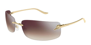 Cartier CT0503S unisex Gold Rectangle Sunglasses