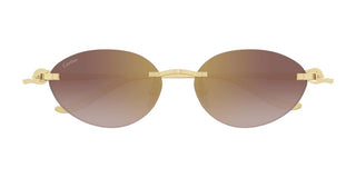 Cartier CT0504S women Gold Round Sunglasses