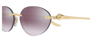 Cartier CT0504S women Gold Round Sunglasses