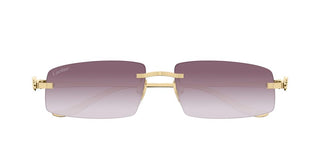 Cartier CT0505S unisex Gold Rectangle Sunglasses