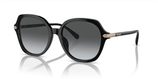 Coach Cl925 Hc 8377u Women Black Round Sunglasses