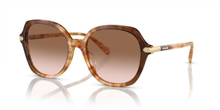 Coach Cl925 Hc 8377u Women Brown Round Sunglasses