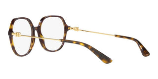 Dolce & Gabbana DG 3364 women Havana Oversize Eyeglasses