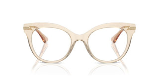 Dolce & Gabbana DG 3392 women Brown Cat Eye Eyeglasses