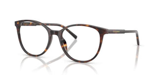 Dolce & Gabbana DG 3425 women Havana Round Eyeglasses