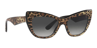 Dolce & Gabbana DG 4417 women Brown Cat Eye Sunglasses