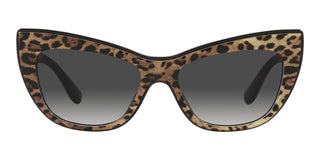 Dolce & Gabbana DG 4417 women Brown Cat Eye Sunglasses