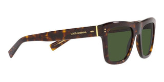 Dolce & Gabbana DG 4420 men Havana Geometric Sunglasses