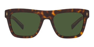 Dolce & Gabbana DG 4420 men Havana Geometric Sunglasses