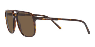 Dolce & Gabbana DG 4423 men Havana Geometric Sunglasses