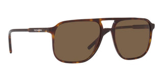 Dolce & Gabbana DG 4423 men Havana Geometric Sunglasses