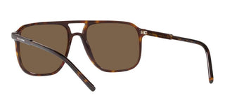 Dolce & Gabbana DG 4423 men Havana Geometric Sunglasses