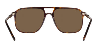 Dolce & Gabbana DG 4423 men Havana Geometric Sunglasses