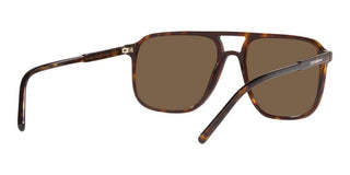 Dolce & Gabbana DG 4423 men Havana Geometric Sunglasses