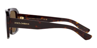 Dolce & Gabbana DG 4430 men Brown Visor Sunglasses