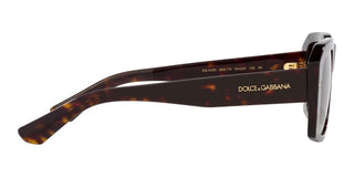 Dolce & Gabbana DG 4430 men Brown Visor Sunglasses