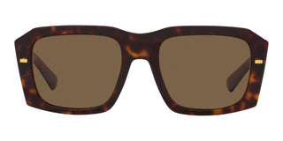 Dolce & Gabbana DG 4430 men Brown Visor Sunglasses