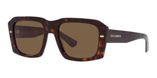 Dolce & Gabbana DG 4430 men Brown Visor Sunglasses