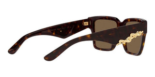 Dolce & Gabbana DG 4436 women Havana Squared Sunglasses