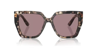 Dolce & Gabbana DG 4438 women Havana Butterfly Sunglasses